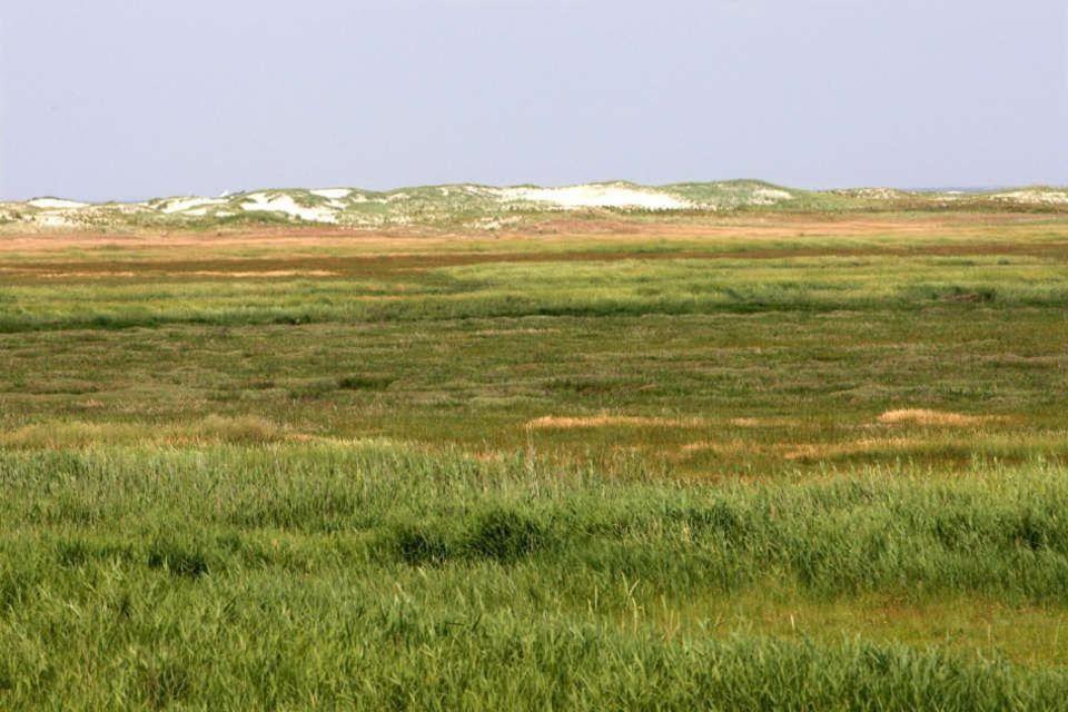 Ferienwohnung-Soltau-1-Og-Rechts Sankt Peter-Ording Exterior foto