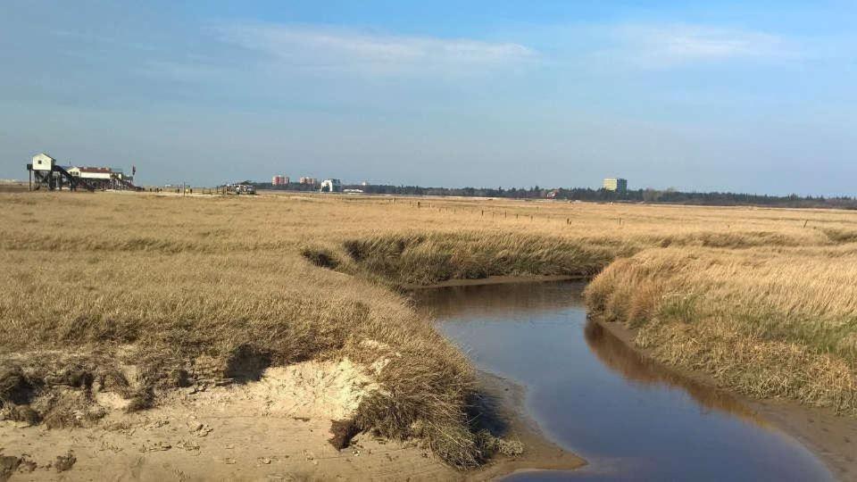 Ferienwohnung-Soltau-1-Og-Rechts Sankt Peter-Ording Exterior foto